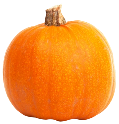 Fresh Orange Autumn Pumpkin Clipart