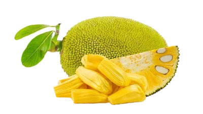 Fresh Jackfruit Slices Free PNG