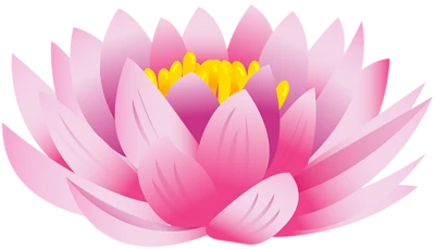 Pink Lotus Flower PNG
