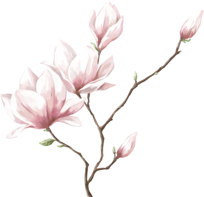Oleander, magnolia, freesia, flowers, jasmine PNG Image File Free Download – Clickpng