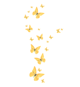 Golden Particle PNG – Sparkling & Luxurious Transparent Visual Elements 17