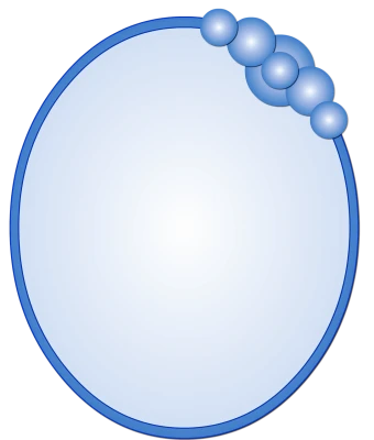 Blank Blue Circular Bubble Frame Clipart