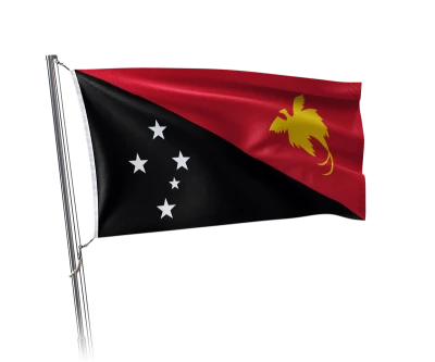 Papua New Guinea Flag on Flagpole Free PNG