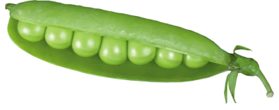 Fresh Green Peas in Pod Clipart