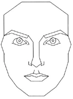 Human Face Wireframe Mapping PNG Image
