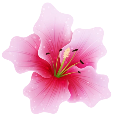 Pink Hibiscus Flower Clipart