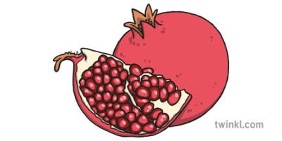 Pomegranate Fruit Illustration Clipart
