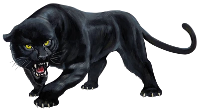 Fierce Black Panther Transparent Background