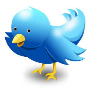 Birds PNG – Beautiful & Natural Transparent Images Download 18