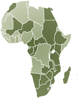 Green Map Of Africa Transparent Background