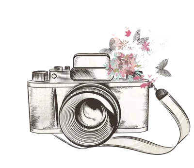 Vintage Camera Sketch With Butterflies Free PNG