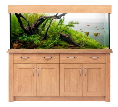 Large Planted Aquarium Fish Tank With Cabinet PNG Image