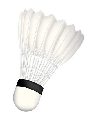 Badminton Shuttlecock Transparent Background