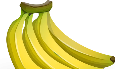 Yellow Bananas Vector Illustration PNG Image