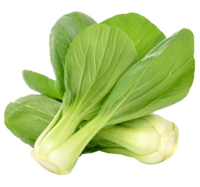 Fresh Green Bok Choy PNG Image