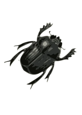 Black Scarab Beetle Illustration Transparent Background
