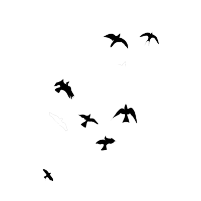 Flying Birds Silhouette PNG – Elegant & Minimal Transparent Images