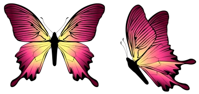 Pink and Yellow Butterfly PNG Image