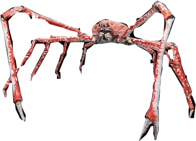 Free Japanese Spider Crab Marine Animal PNG