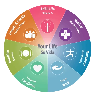 Colorful Life Balance Wheel Chart Free Clipart