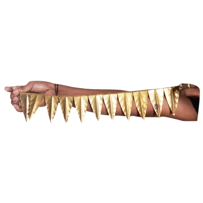Tom Hanks Smiling Portrait Transparent Free Download PNG