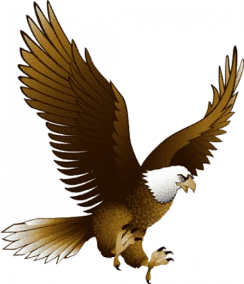 Bald Eagle Flying Swooping Transparent Background