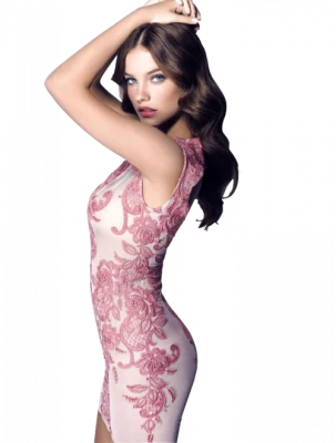Barbara Palvin Pink Lace Dress Free PNG
