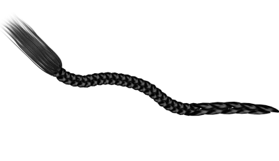 Long Black Hair Braid Clipart