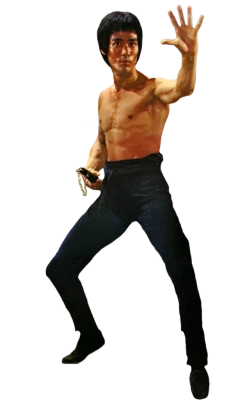 Bruce Lee Martial Arts Pose Free PNG