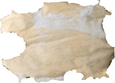 Burnt Parchment Paper Texture Clipart