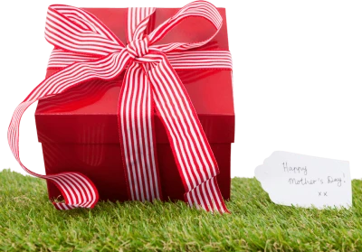 Red Gift Box On Grass Free PNG