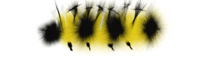 Yellow And Black Caterpillar Clipart