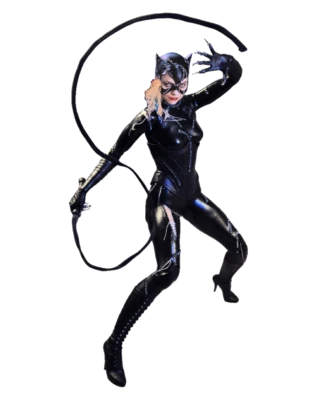 Catwoman Action Figure Pose Free PNG