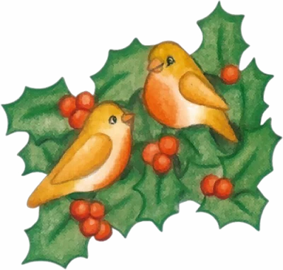 Christmas Robins On Holly PNG Image