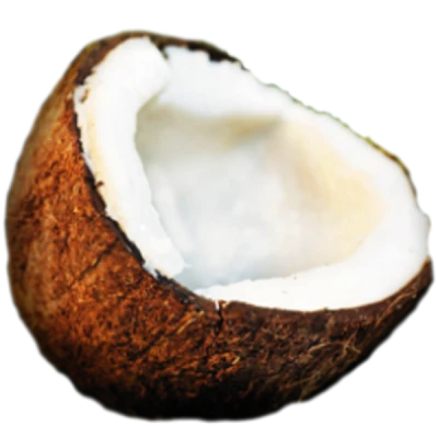 Fresh Coconut Half PNG Image