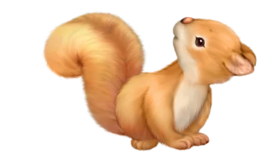 Cute Squirrel Illustration PNG Image
