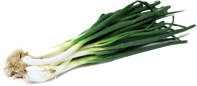 Fresh Green Onions Scallions Free PNG