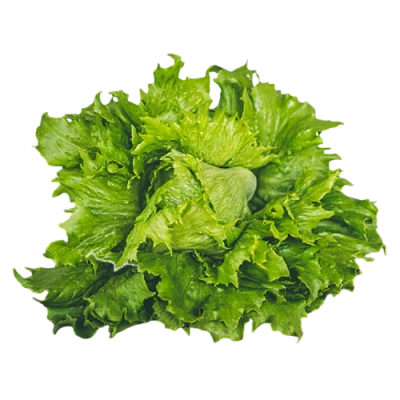 Fresh Iceberg Lettuce PNG Transparent Background