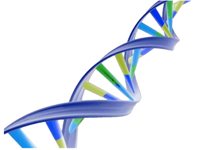 3D DNA Strand Medical PNG Image