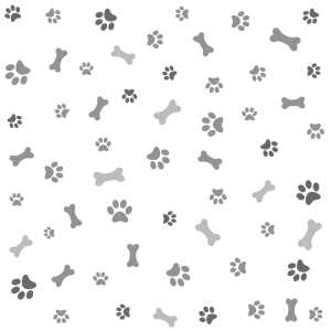 Animal PNG – Diverse & Realistic Transparent Images Download 10