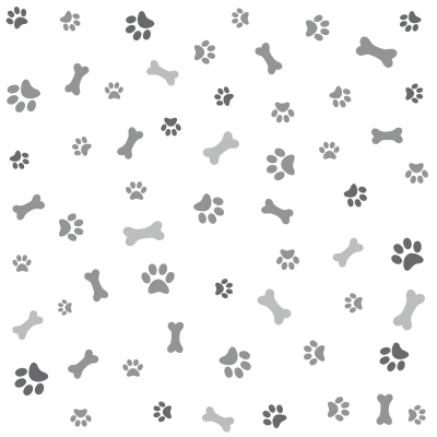 Animal PNG – Diverse & Realistic Transparent Images Download