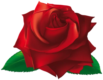 Red Rose Flower Free PNG