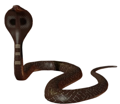 King Cobra Snake 3D PNG Image