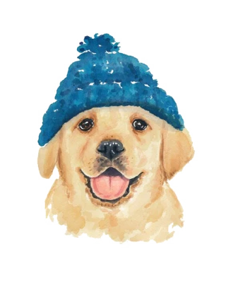 Watercolor Golden Retriever Beanie Free PNG