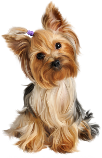 Animal PNG – Diverse & Realistic Transparent Images Download 14