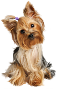 Animal PNG – Diverse & Realistic Transparent Images Download 14