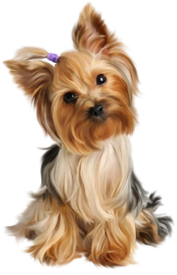 Animal PNG – Diverse & Realistic Transparent Images Download