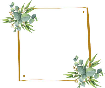 Eucalyptus Leaf Frame PNG Clipart