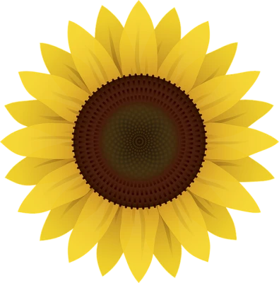 Bright Yellow Sunflower Clipart Free PNG