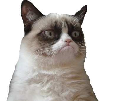 Grumpy Cat Portrait PNG Image